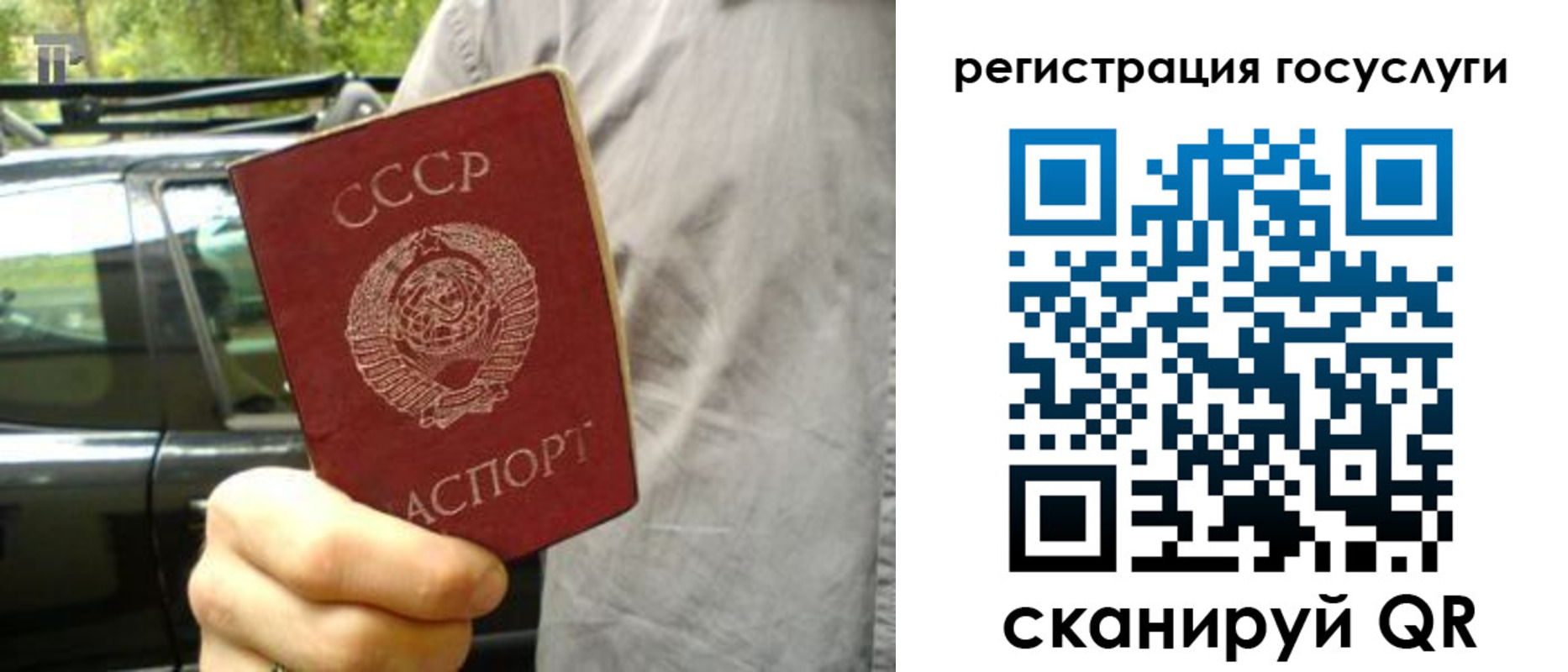 прописка законно в Черноголовке